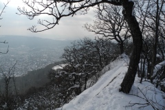 DSCN2308