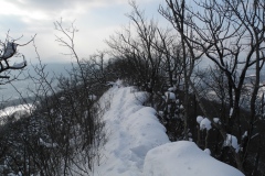 DSCN2309