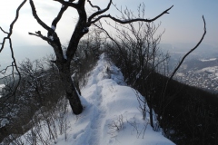 DSCN2316