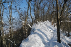 DSCN2320