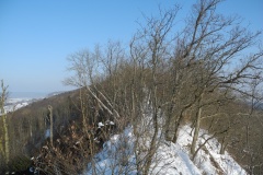 DSCN2322