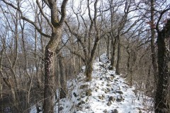 DSCN1254