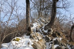 DSCN1257