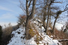 DSCN1271