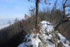 DSCN1273