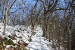 DSCN1274