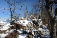 DSCN1278