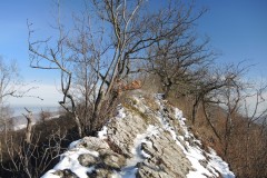 DSCN1279