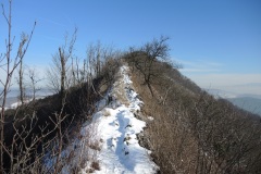DSCN1283