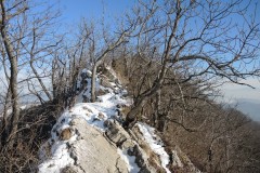 DSCN1285