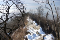 DSCN1288