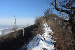 DSCN1293