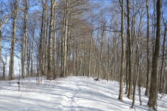 DSCN1295