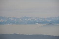 DSCN1298