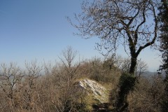 DSCN2051