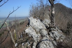 DSCN2067