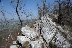 DSCN2070