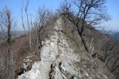 DSCN2073