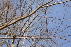 DSCN2595