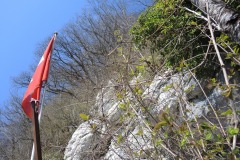 DSCN2608