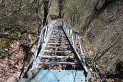 DSCN2615