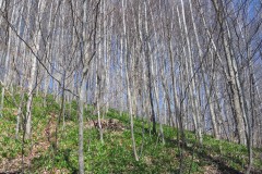 DSCN2617