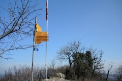 DSCN2624