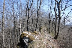 DSCN2626