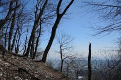 DSCN2627
