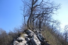 DSCN3273