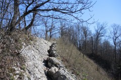 DSCN3278
