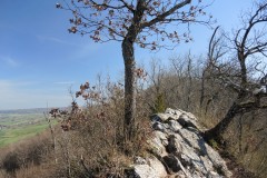 DSCN3284