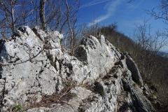 DSCN3292