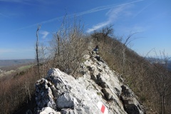 DSCN3294