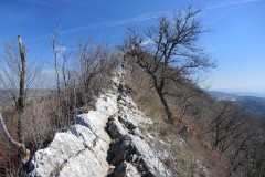 DSCN3295