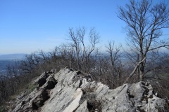 DSCN3298