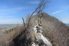 DSCN3303