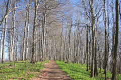 DSCN3305