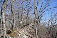 DSCN3317