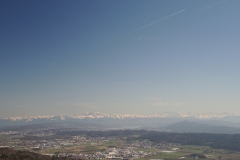 DSCN3319
