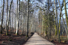 DSC00326