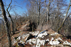 DSC00345