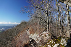 DSC00348