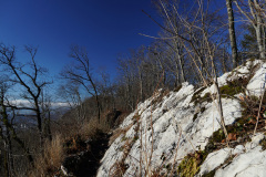 DSC00354