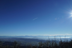 DSC00363