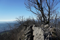 DSC00376