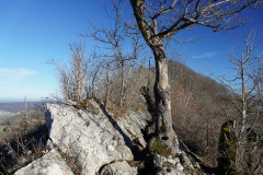 DSC00380