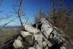 DSC00382