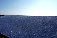 DSC06412