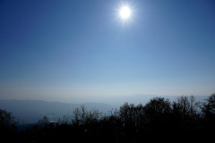 DSC06435